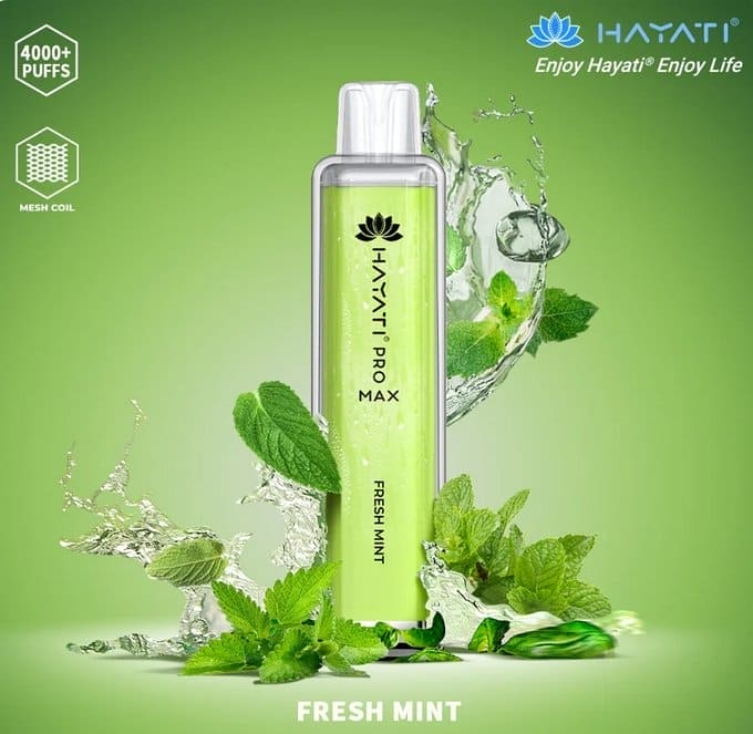 Hayati Pro Max 4000 Puffs Disposable Vape
